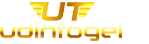 UDINTOGEL logo